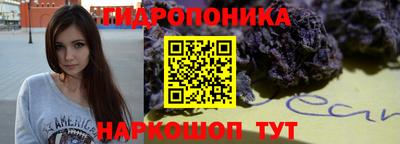 мяу мяу мука Будённовск
