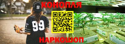 мяу мяу мука Будённовск