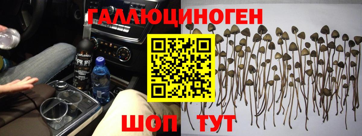 Псилоцибиновые грибы Cubensis Соликамск